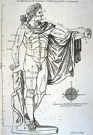 drawing