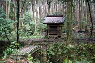 青龍社全景