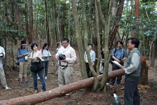 上原教授による解説